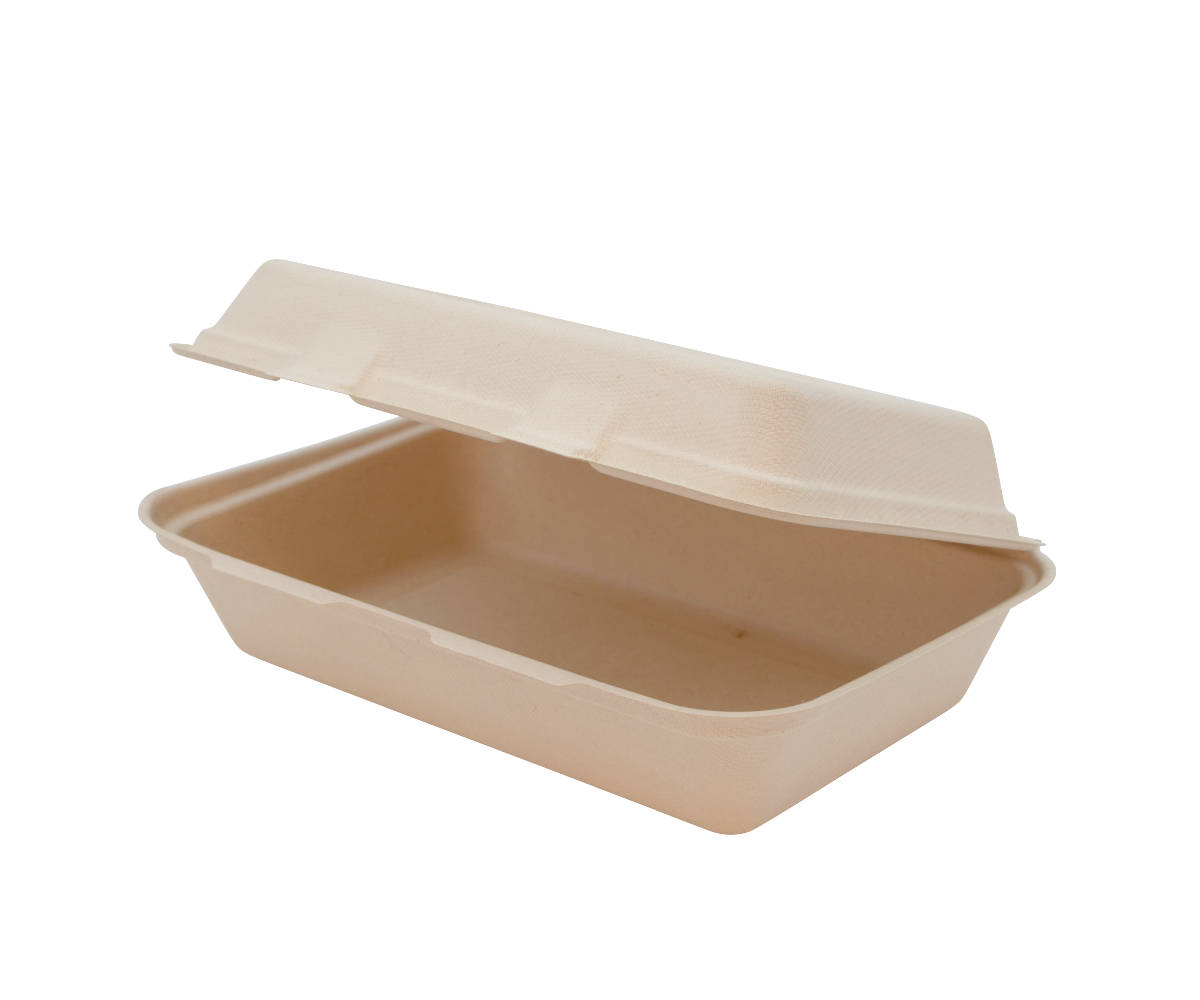 g2n Bagasse Allzweckbox anh. Deckel 24x16x7,5cm 500 Stück