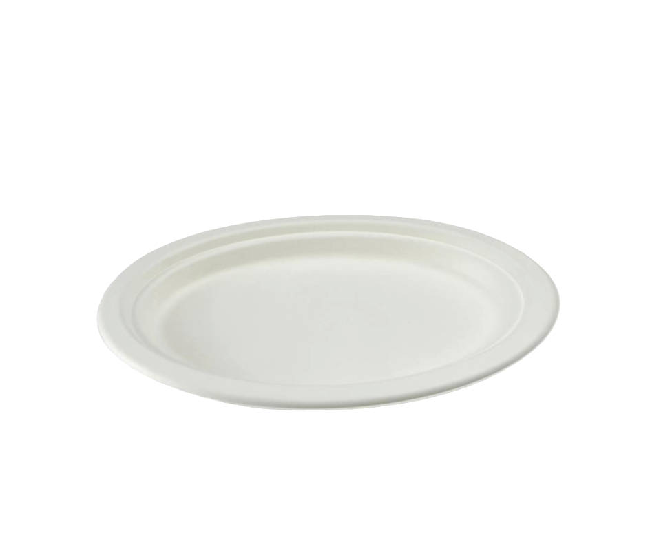 Bagasse Teller rund 22cm, 10x50 Stück