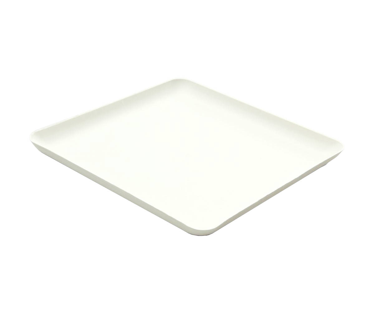 Bagastro Bagasse Teller quadratisch x-large, 12x40 Stück